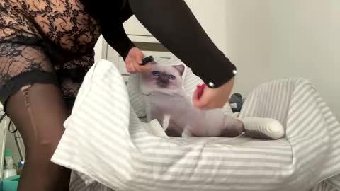 private on 18 per minute start private 500 tokensOnlyfans  online show from February 1, 2025, 9:32 am