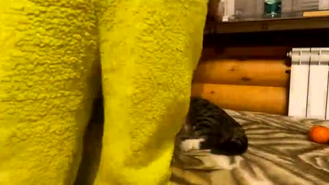 Snapshot of your_cute_friend chatting on December 31, 2024, 9:50 pm Fansly online show from December 31, 2024, 9:50 pm