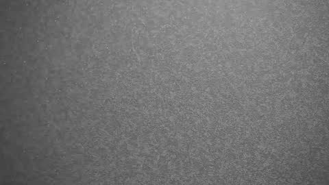 Snapshot of your_little_flexible_girl chatting on February 13, 2025, 9:38 pm Meri online show from February 13, 2025, 9:38 pm