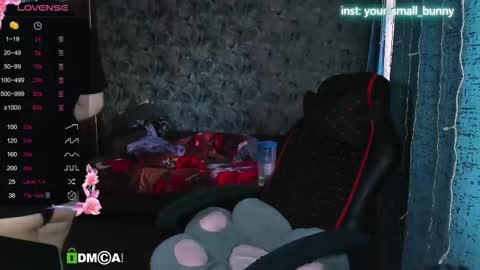 Snapshot of your_small_bunny chatting on September 30, 2025, 2:49 am Molly online show from September 30, 2025, 2:49 am