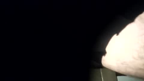 yourexpirementmale online show from July 26, 2026, 8:49 pm