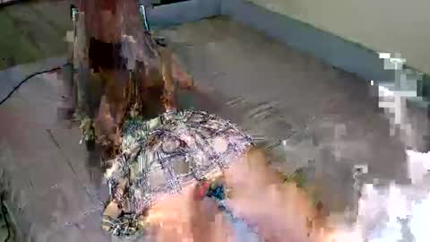 Ariella online show from May 24, 2026, 9:58 am