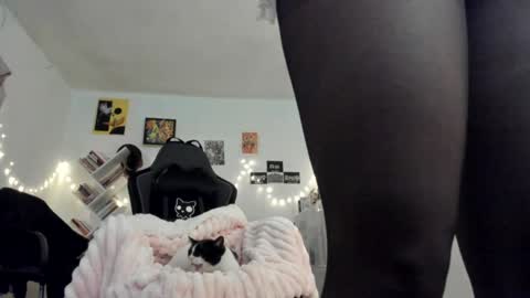 paola online show from January 18, 2025, 9:45 pm