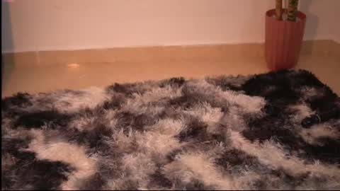 Yuyi Cam online show from December 5, 2025, 3:15 am