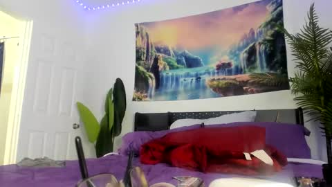 Zack Pipher online show from March 30, 2026, 12:17 pm