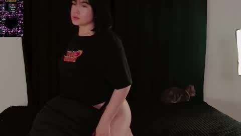 zamila online show from February 13, 2026, 9:38 am