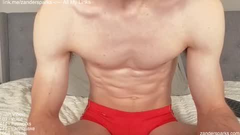 Snapshot of zandersparks chatting on November 29, 2025, 12:13 am Zander Sparks online show from November 29, 2025, 12:13 am