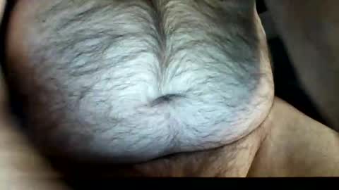 zeddie71 online show from November 22, 2025, 4:39 pm