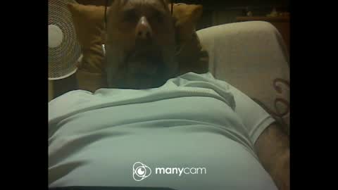 Snapshot of zeusdioss chatting on July 8, 2026, 12:48 am zeusdioss online show from July 8, 2026, 12:48 am