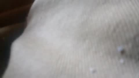 bigdickdaddy online show from June 4, 2026, 5:08 pm