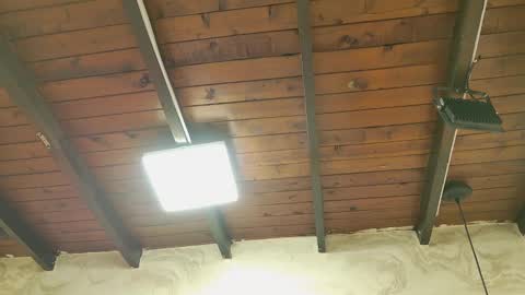 zoley  online show from October 6, 2025, 3:04 am