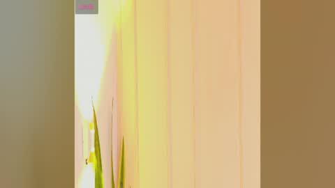 Zara online show from July 25, 2026, 7:22 pm