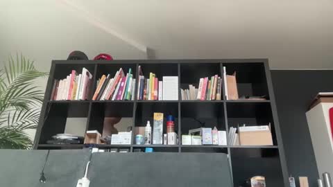 zwickauer1969 online show from February 27, 2025, 8:06 am