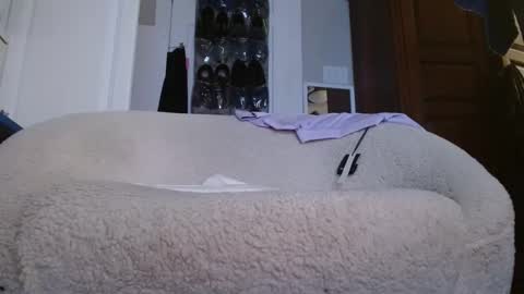 Snapshot of zymase chatting on January 4, 2025, 11:27 pm zymase online show from January 4, 2025, 11:27 pm