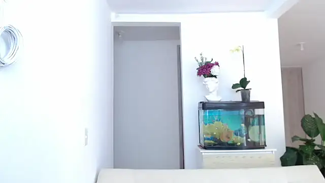 adrian morelly online show from March 18, 2025, 8:04 pm