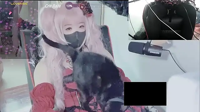 z23002 online show from March 13, 2025, 7:31 am