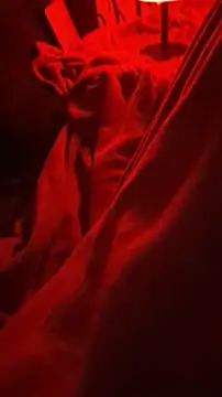 Snapshot of BirdyOfficial__ chatting on November 7, 2025, 1:27 am BirdyOfficial online show from November 7, 2025, 1:27 am