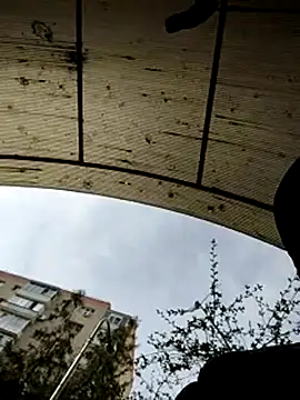 J0nyhson online show from March 23, 2025, 7:31 am