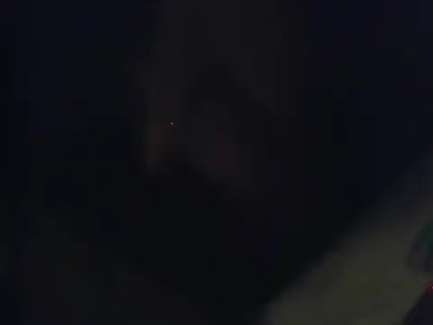 Ethan 29 online show from February 4, 2026, 3:45 am