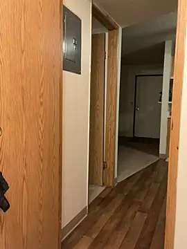 Snapshot of BustiBunny69 chatting on December 22, 2024, 3:11 am BustiBunny69 online show from December 22, 2024, 3:11 am