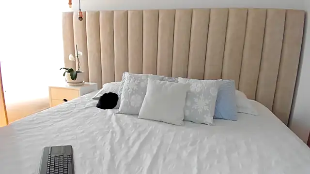 dara   online show from February 1, 2025, 8:26 pm