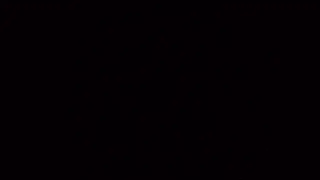 PartyguySLC78 online show from February 26, 2025, 12:27 am