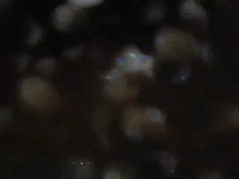 arabictsmariam online show from February 11, 2025, 6:08 am