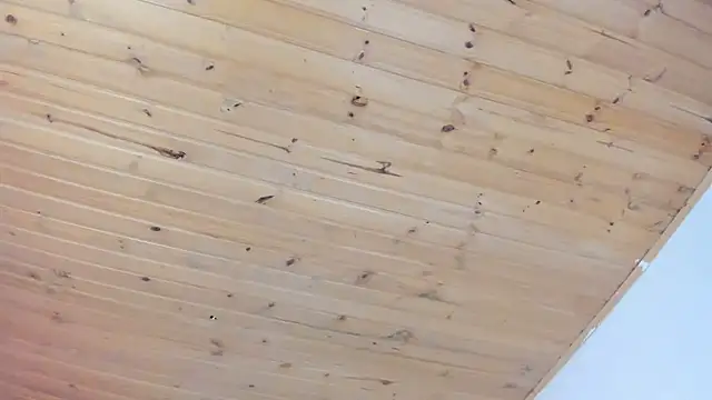 cristal  hot 1 online show from February 1, 2025, 4:03 am