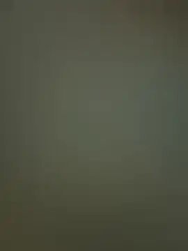 Sam Sara online show from February 19, 2026, 6:59 pm