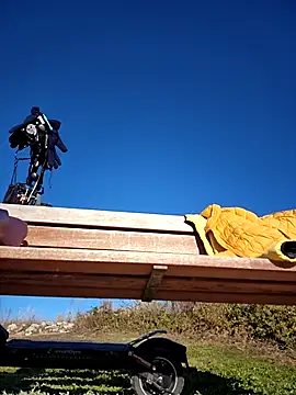 bellapaty online show from December 3, 2025, 9:51 am