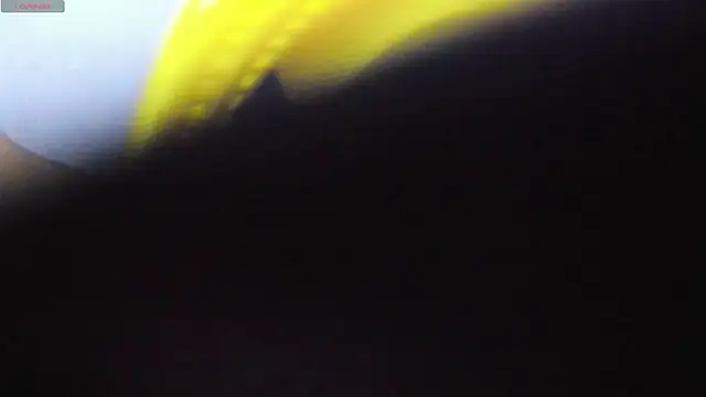 Alice bloom  online show from January 13, 2026, 5:57 am