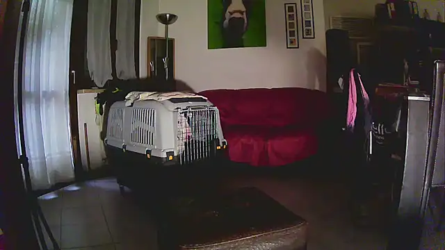 Snapshot of Sabrina-Palermo chatting on January 6, 2026, 12:31 pm Sabrina-Palermo online show from January 6, 2026, 12:31 pm