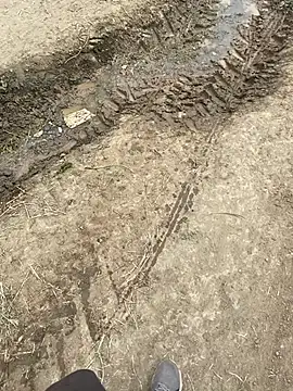 parabellumm online show from April 17, 2026, 1:58 pm