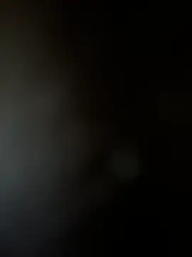 Yurt000 online show from February 3, 2025, 7:29 am