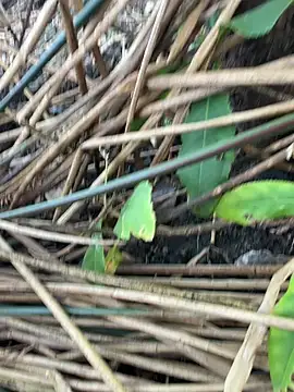 Yurt000 online show from September 11, 2025, 3:17 am