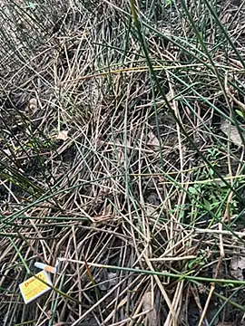 Yurt000 online show from September 16, 2025, 4:57 am