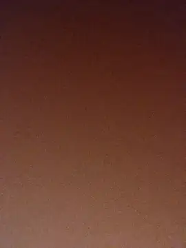 Snapshot of pinaxpack1 chatting on November 3, 2025, 4:03 am pinaxpack1 online show from November 3, 2025, 4:03 am