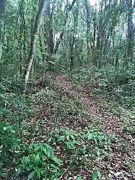 Snapshot of OFICINA_Simas-Turbo chatting on September 20, 2025, 7:37 pm OFICINA Simas-Turbo online show from September 20, 2025, 7:37 pm