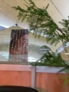 Emilia Bakerr online show from December 15, 2024, 9:31 pm