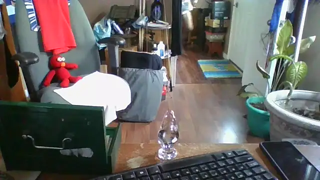 Daremeknot online show from December 30, 2024, 7:00 pm