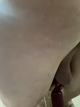 Snapshot of Followthepiper chatting on February 3, 2025, 11:20 am Followthepiper online show from February 3, 2025, 11:20 am