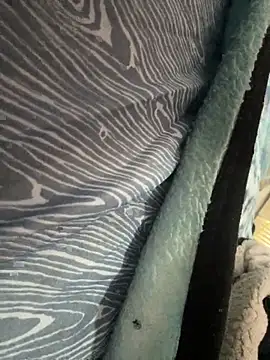 Snapshot of Followthepiper chatting on November 10, 2025, 7:35 pm Followthepiper online show from November 10, 2025, 7:35 pm