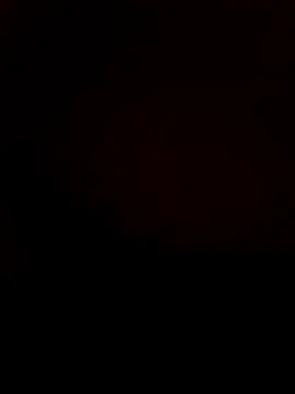 DANY49DANY49 online show from November 12, 2025, 11:10 am