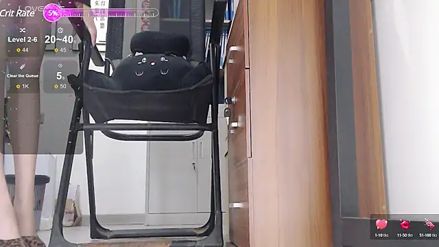 Snapshot of -DIO-DIO- chatting on December 23, 2024, 11:25 am -DIO-DIO- online show from December 23, 2024, 11:25 am