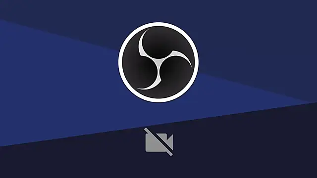 LonelyFlower online show from December 29, 2024, 7:11 pm