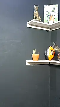 Snapshot of raymon616 chatting on November 14, 2025, 10:18 pm raymon616 online show from November 14, 2025, 10:18 pm