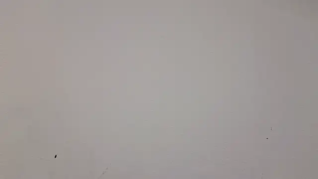 Snapshot of __Nina chatting on February 19, 2025, 1:06 pm Nina online show from February 19, 2025, 1:06 pm