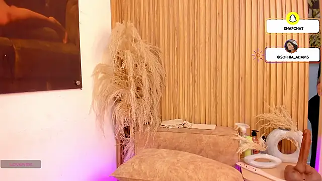 sofhiaa adaams online show from February 25, 2026, 10:30 pm