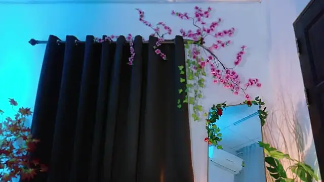 Snapshot of Kirei_kirei chatting on January 14, 2025, 8:20 am Kirei kirei online show from January 14, 2025, 8:20 am