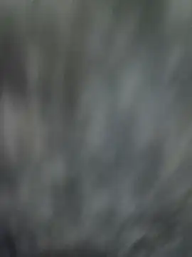 NaiveAlly5 online show from September 25, 2025, 7:34 am